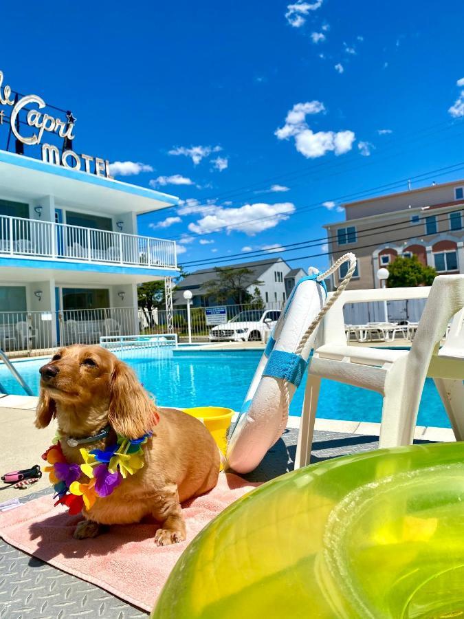 شمال وايلدوود Isle Of Capri Motel المظهر الخارجي الصورة